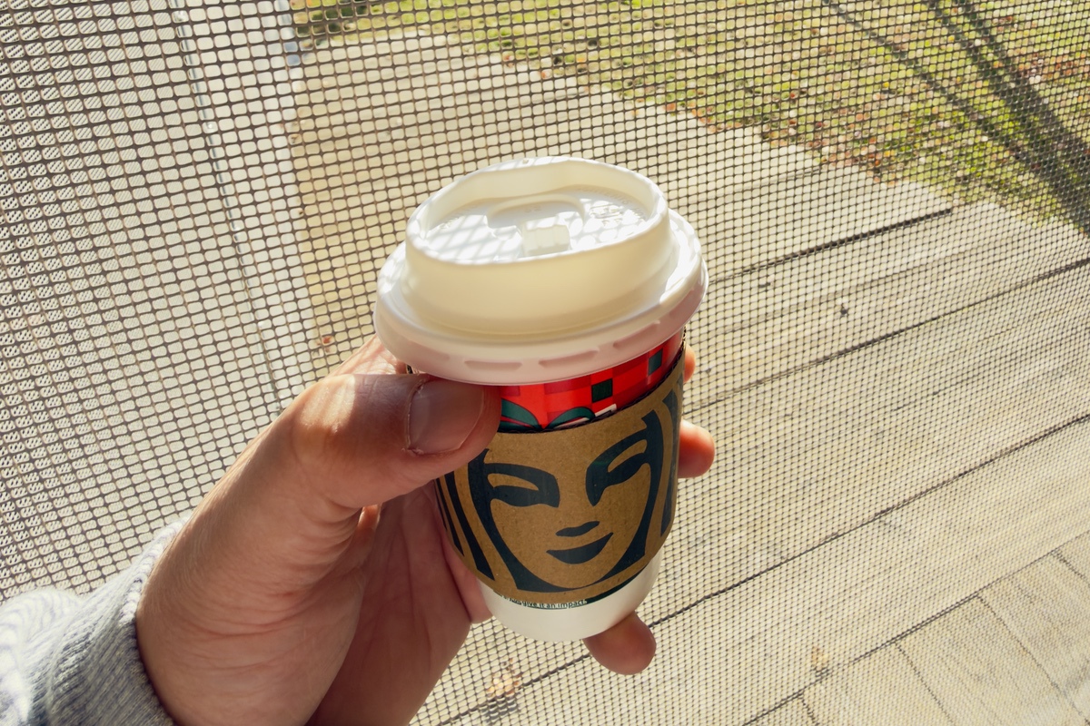 10回 × 3セットの嘘